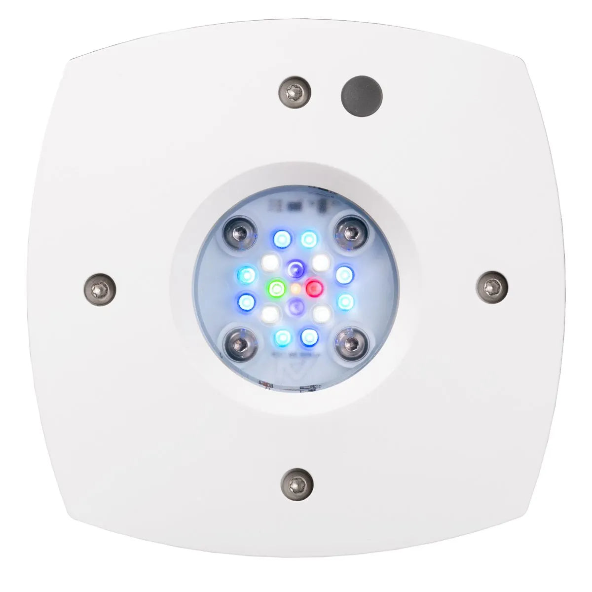 Prime 16 HD LED Reef Light