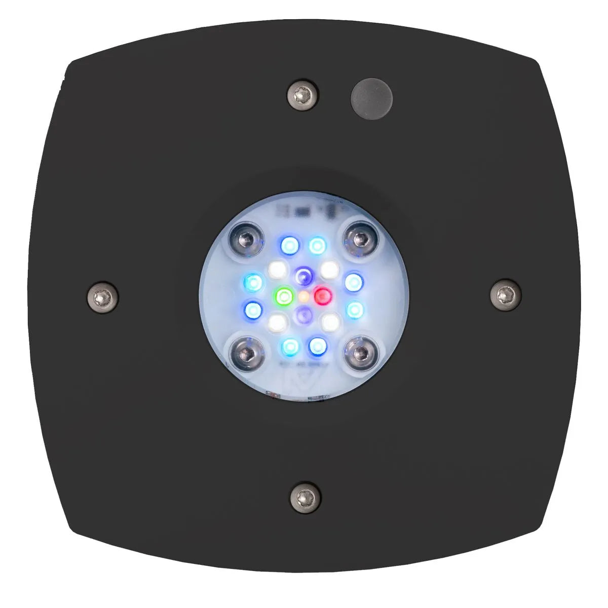 Prime 16 HD LED Reef Light