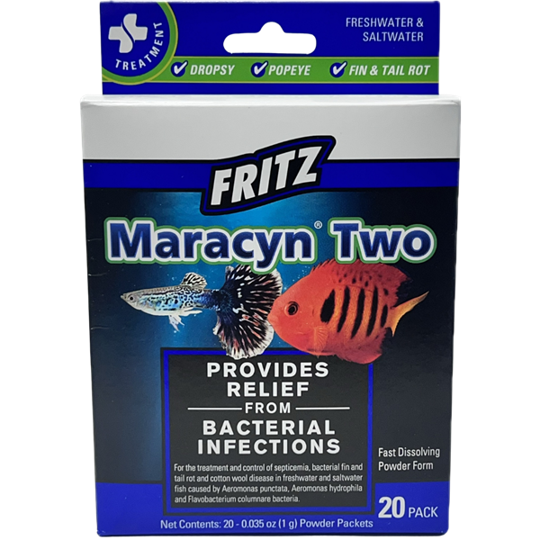 Fritz Maracyn 2